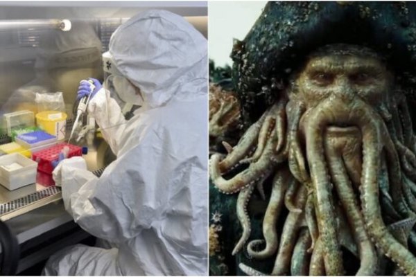 Кракен магазин kraken4am com